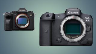 Sony and Canon cameras comparison