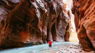A man stands in the water of the Narrows in Zion National Park