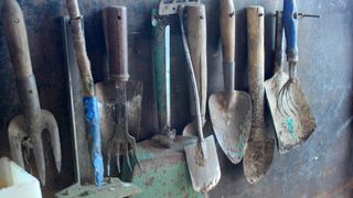 A range of gardening tools hung along a wall including trowels and forks