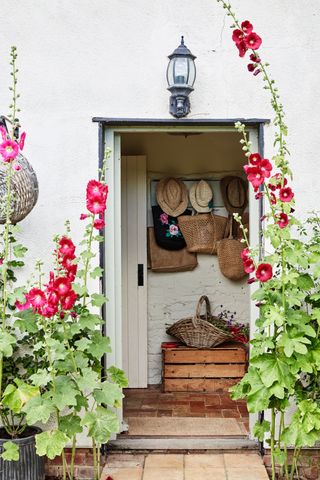 Lovatt thatched cottage flowers front door