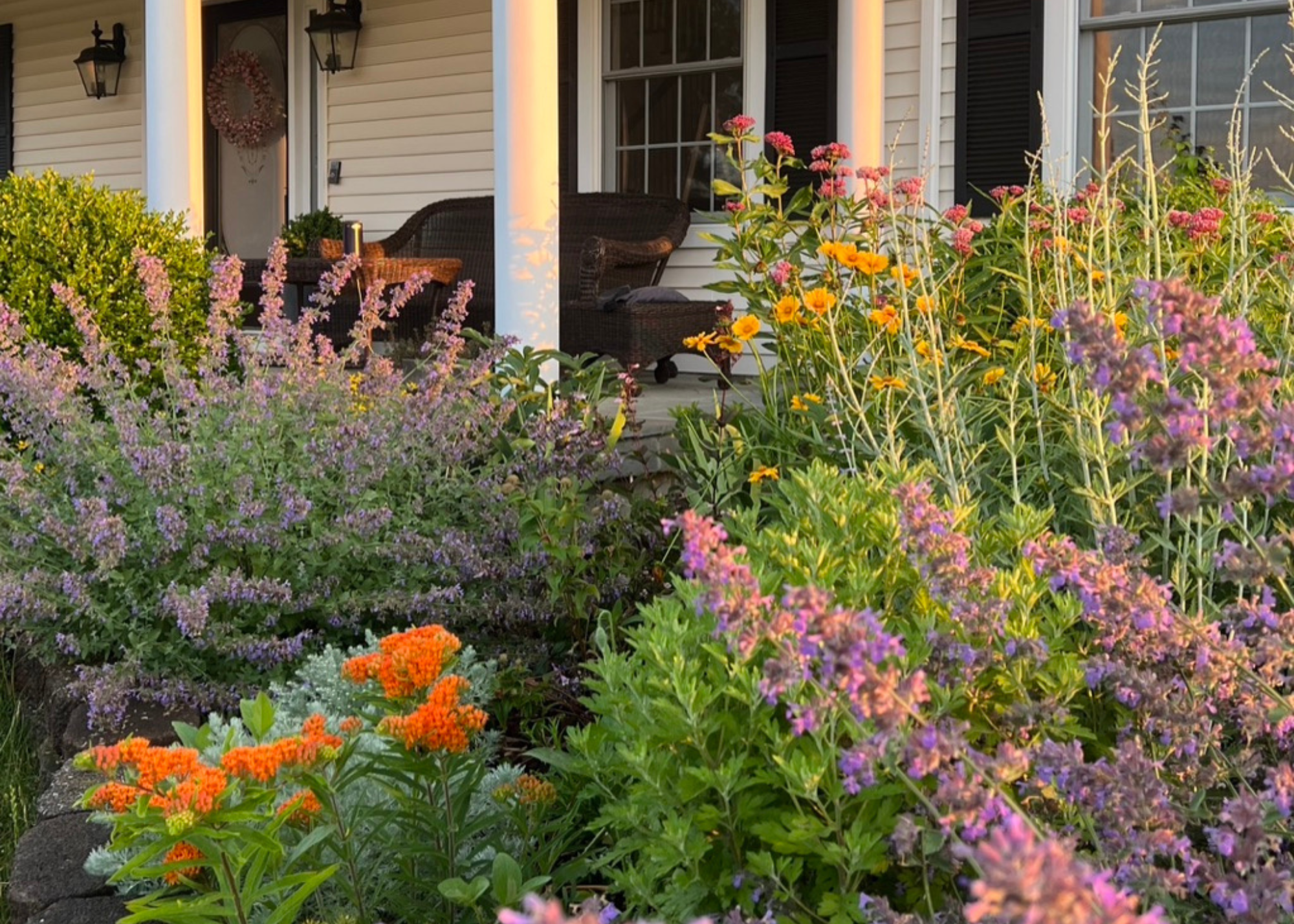 a beautiful wildflower front lawn with lots of colorful plants