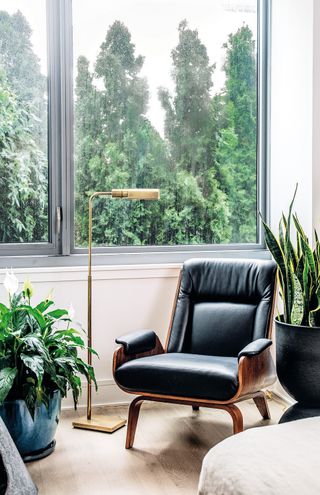 Peace Lily and Snake Plant in room styled by Hilton Carter, Living Wild published by Coco Books