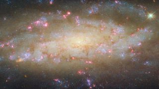 A glowing spiral galaxy is full of white, yellow and blue light with bursts of pink around the edges. 