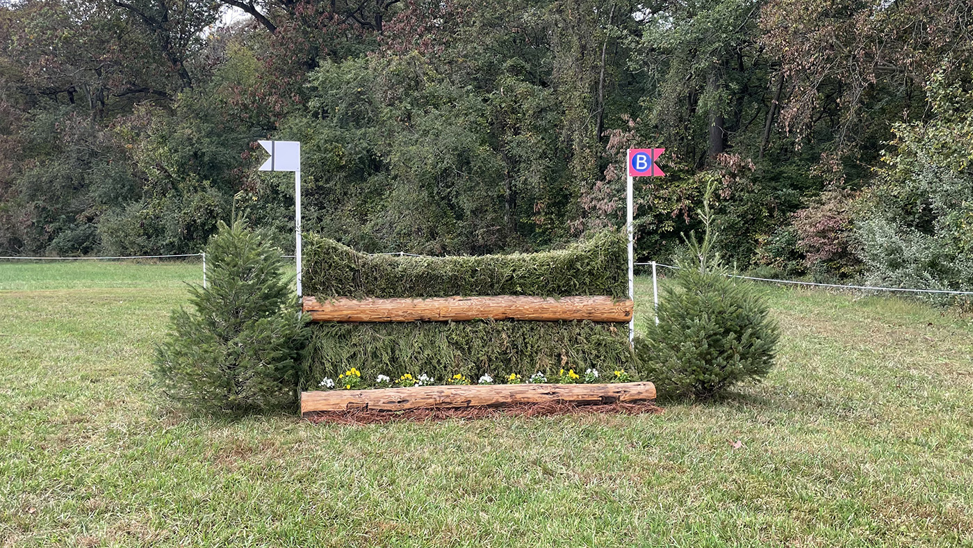 Fence27b-alt