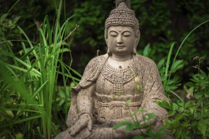 Buddhist In A Garden