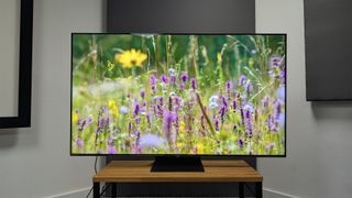 TCL C855K 65-inch Mini LED TV on wooden AV rack showing flowers on screen