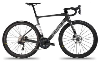 ribble endurance sl e review