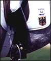 4571DE09-1FEA-4430-9413-B58FD4211437.jpg