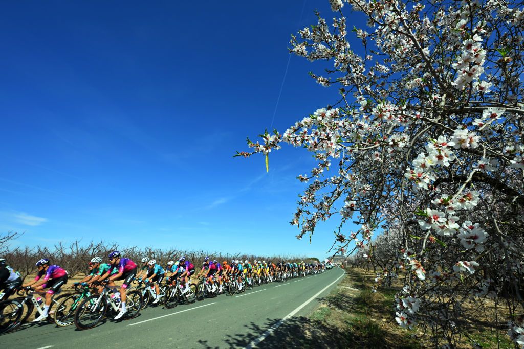MURCIA SPAIN FEBRUARY 15 A general view of the peloton passing through a landscape during the 45th Vuelta Ciclista a la Regin de Murcia Costa Calida 2025 a 1996km one day race from Jumilla to Murcia on February 15 2025 in Murcia Spain Photo by Tim de WaeleGetty Images