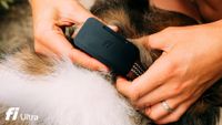 The Fi Ultra Dog Tracker 