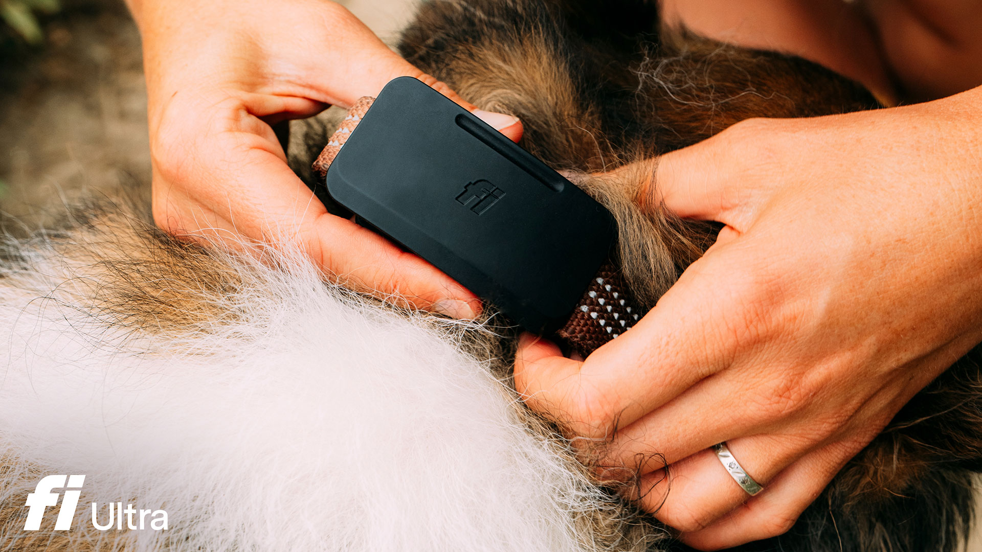 The Fi Ultra Dog Tracker 