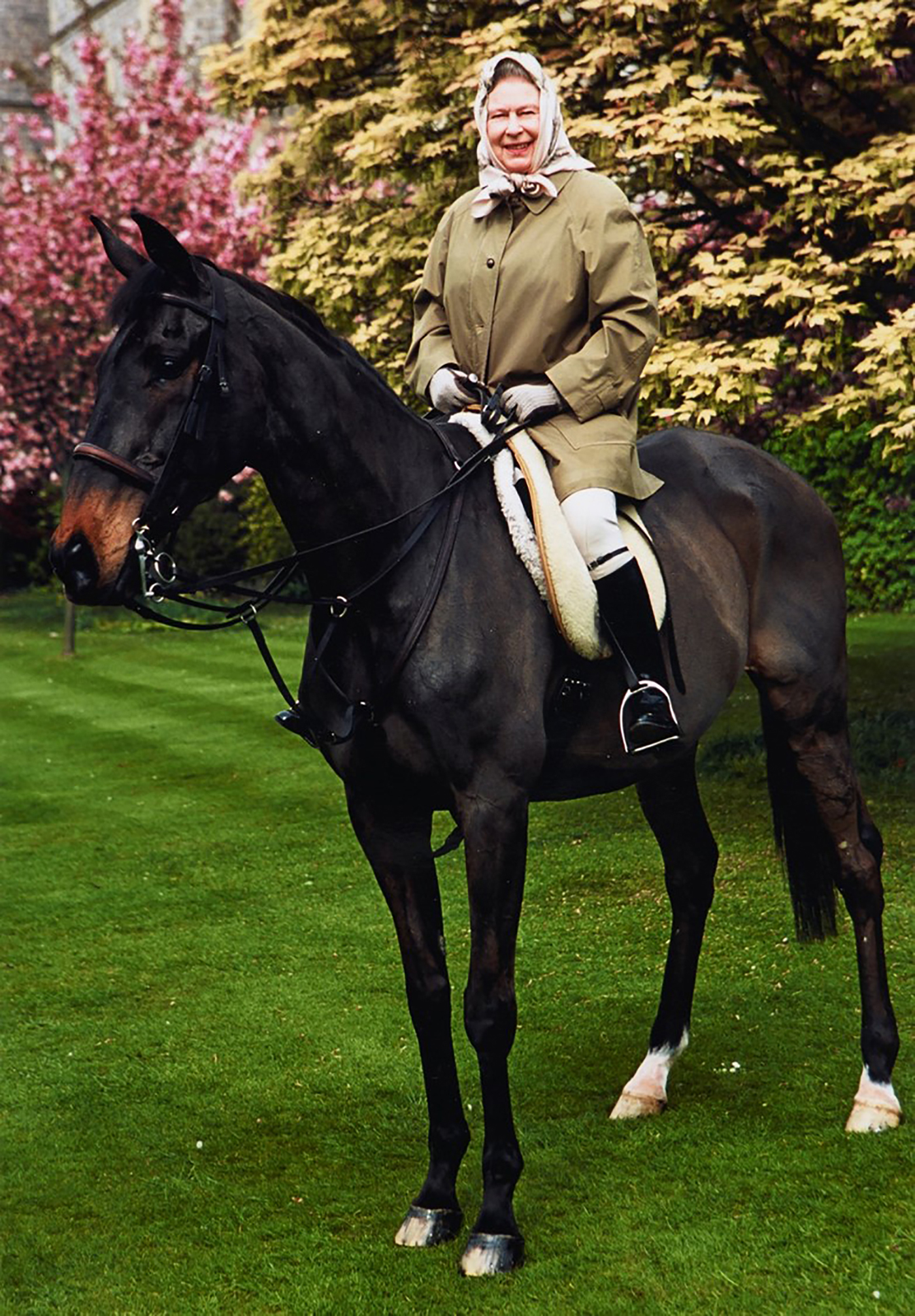 Sanction was chosen as one of The Queen's favourite horses