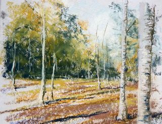 Pastel drawing of birch trees