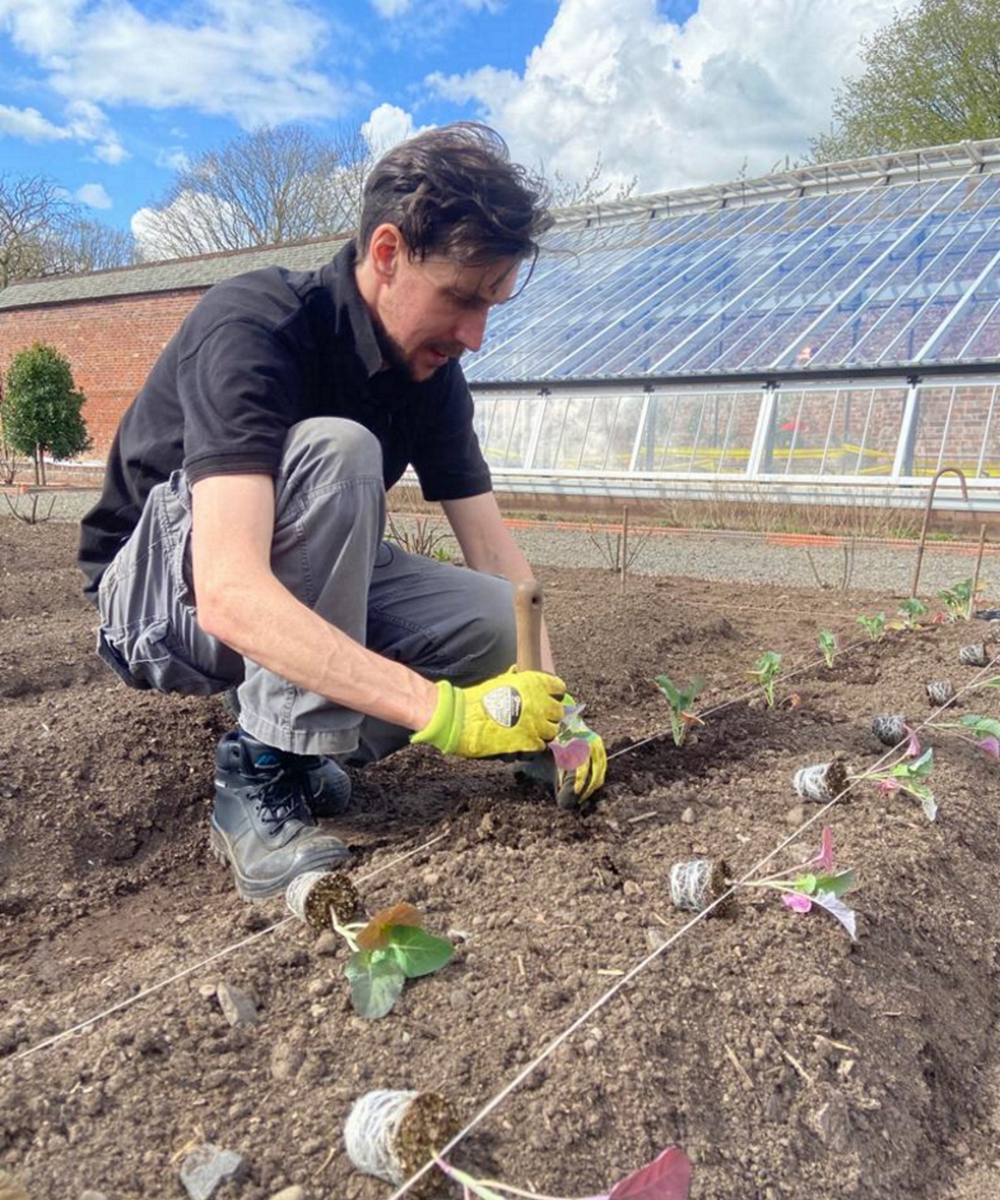 How Often You Need to Water Your Vegetable Garden