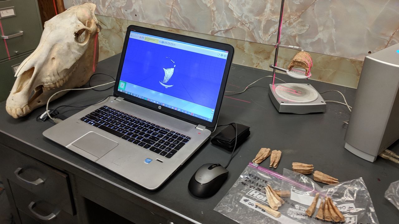 Researchers make a 3D scan of the Lehi horse's bone.