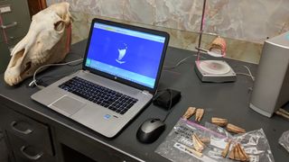 Οι ερευνητές πραγματοποιούν μια τρισδιάστατη σάρωση ενός ζωντανού οστού αλόγου.