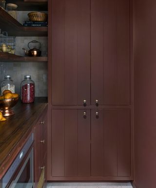 Walk in pantry with dark brown cabinets