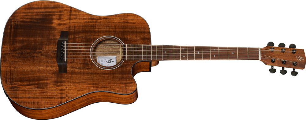 Harley Benton Exotic Wood Custom