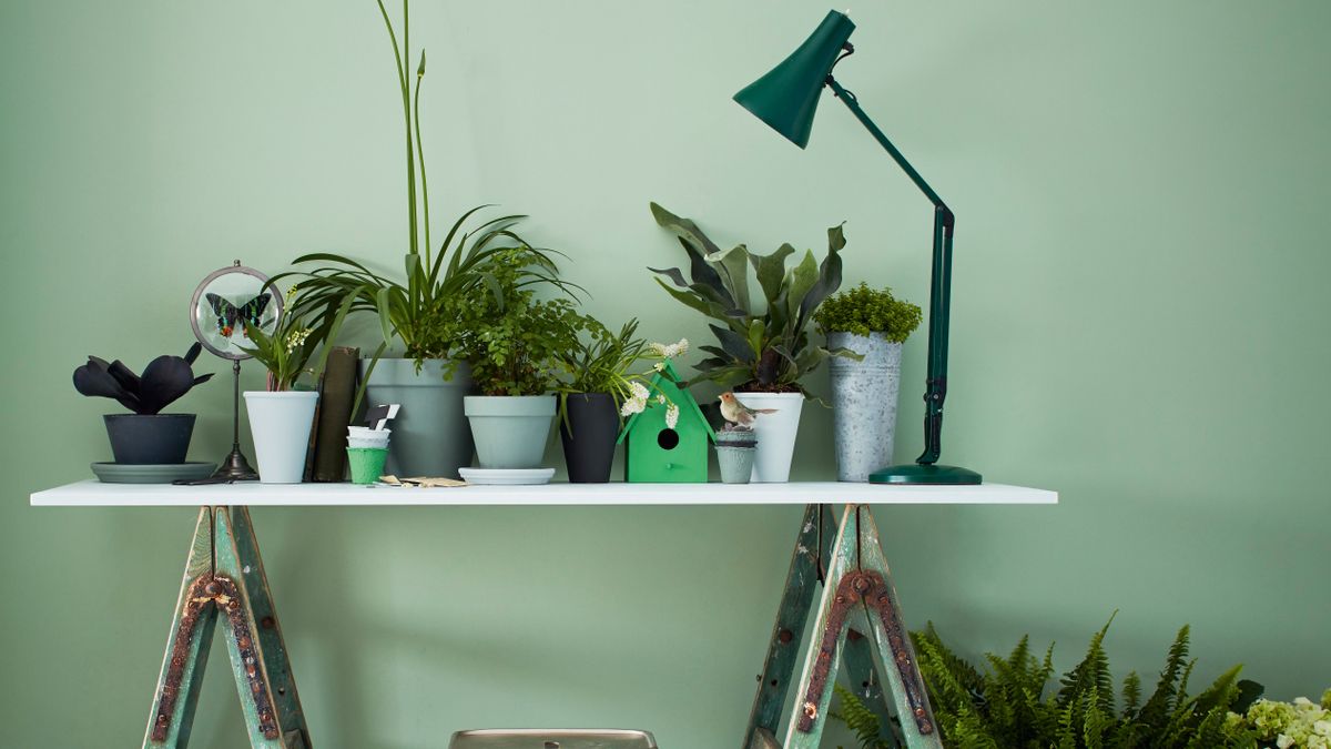 Houseplants in your home office make you more creative and productive