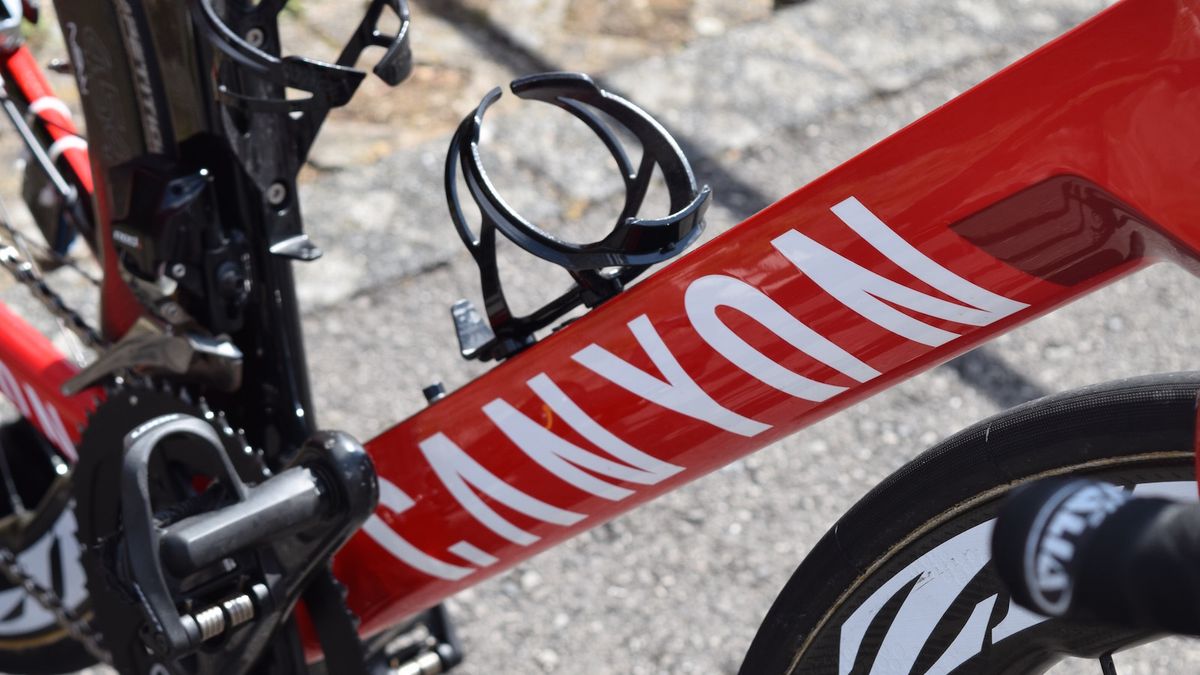 Canyon decals adorn the down tube