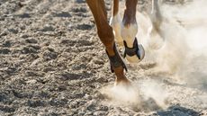 alamy-ç_295468252_503965901.jpg