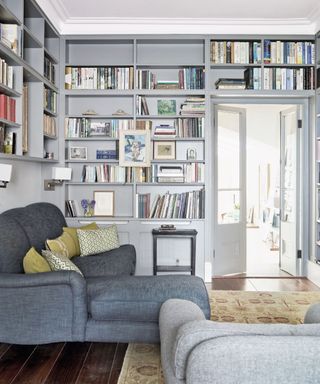 Small gray living room with shelving