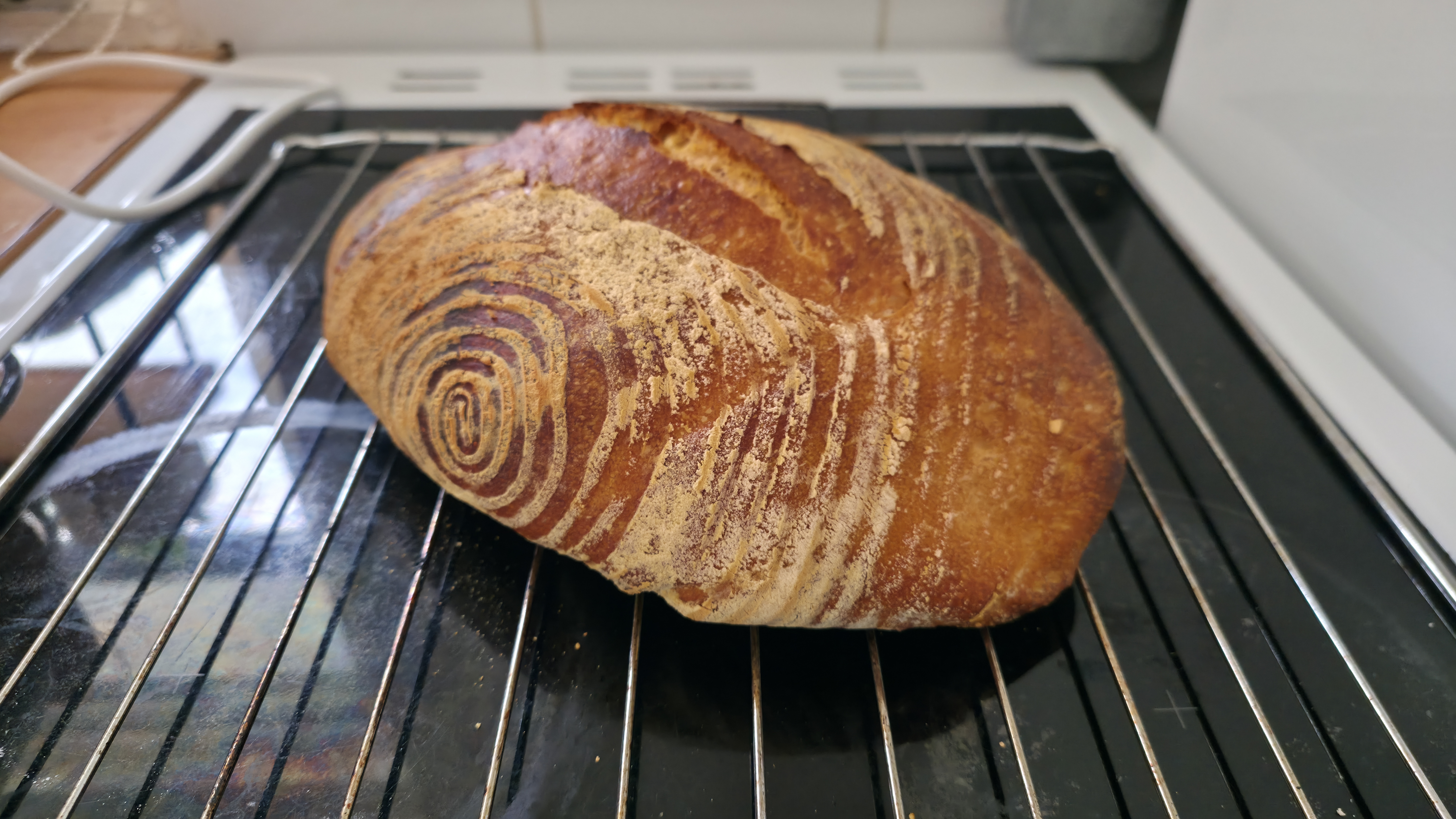 Bread made using the Brod & Taylor Proofer