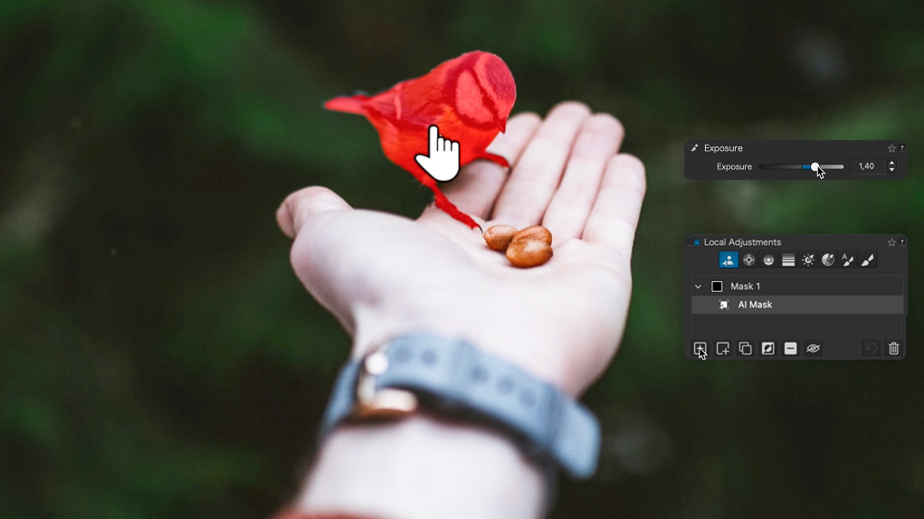 DxO PhotoLab 9 hand holding a garden bird, with bird masked via red overlay