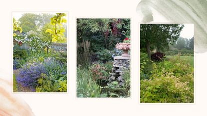 compilation of three gardens on a painterly background to support the overgrown garden trend