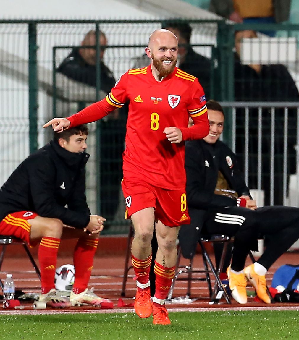 Jonny Williams opens Wales account to clinch late win in Bulgaria
