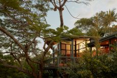 Byron Bay Treehouse with dreamy, serene interiors among foliage