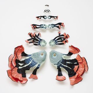Regular spectacle glasses transform into a myriad of Asian fish, growing larger and large
