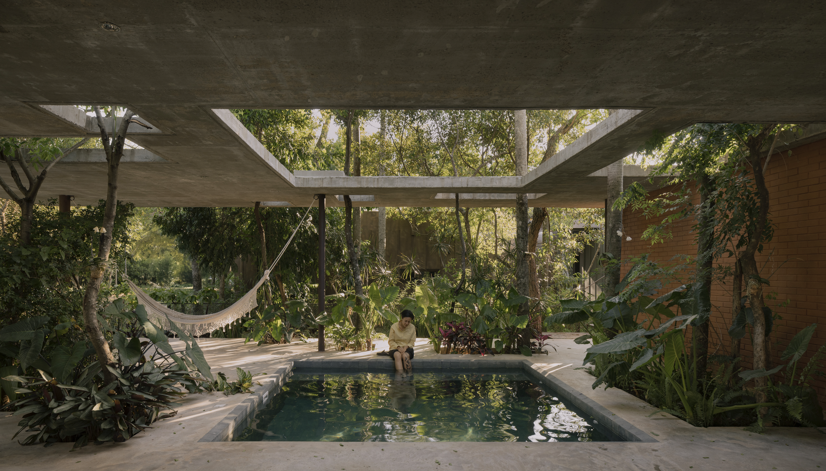 A Forest in the House, Paraguay, by Equipo de Arquitectura