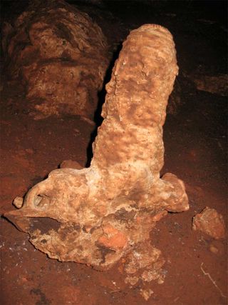 Stalagmite climate archive growing on top of an archaeological archive (Mayan pottery) in a northwest Yucata?n Peninsula cave.