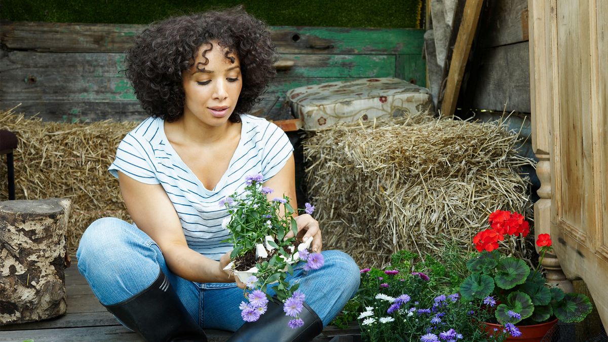 Gardening can improve your mental health during the coronavirus pandemic, here’s how