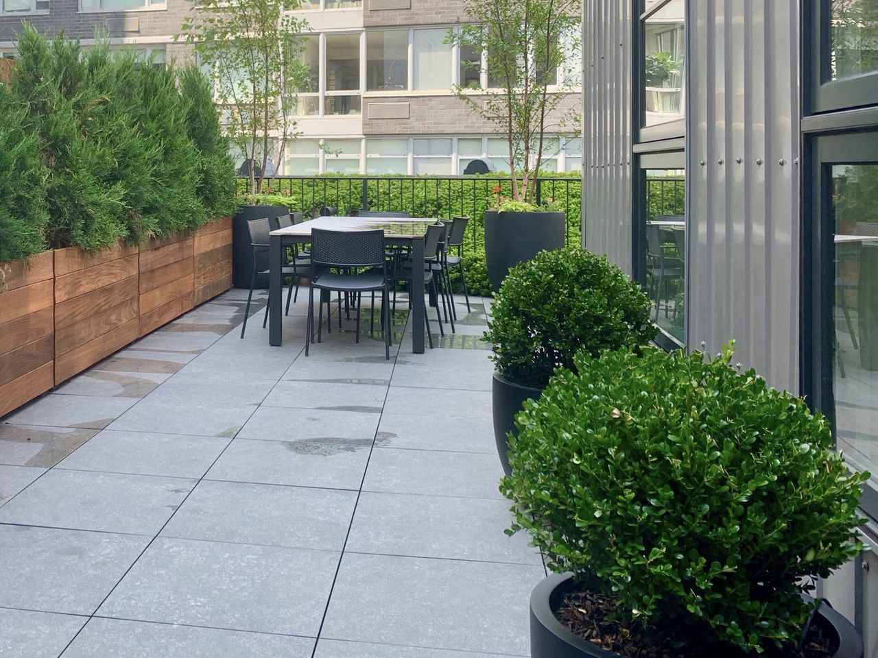 Best plants for small gardens 8 stylish shrubs to choose Livingetc