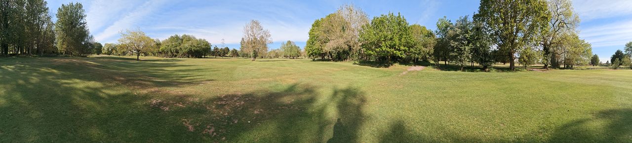 pixel 10 vs nothing phone 4a pro shootout panorama