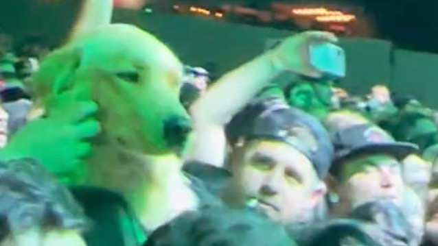 We can't believe we have to say this but bringing your dog to a metal show is not a good idea, so please stop doing it
