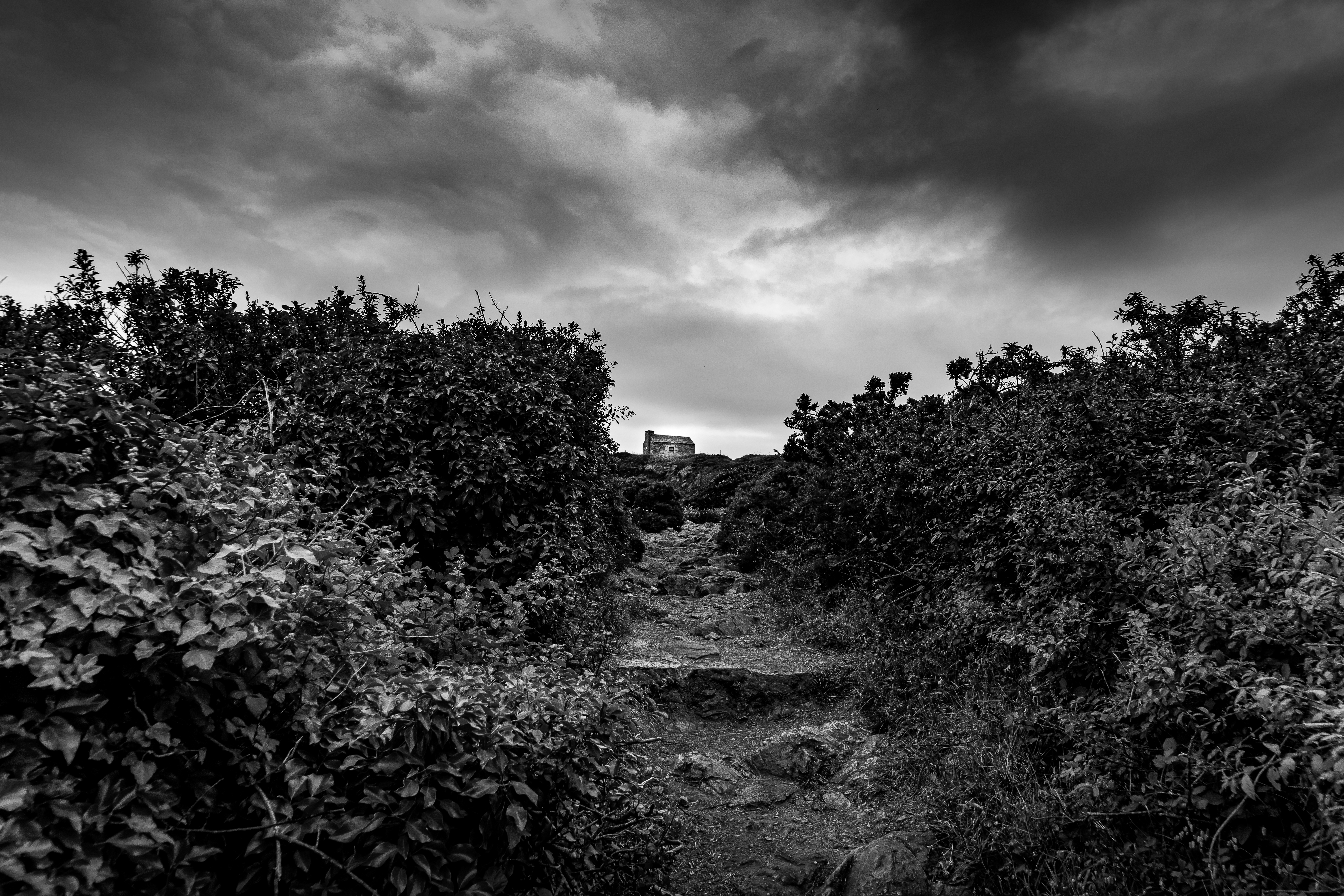 GuruShots - Powerful Black & White Jan 26