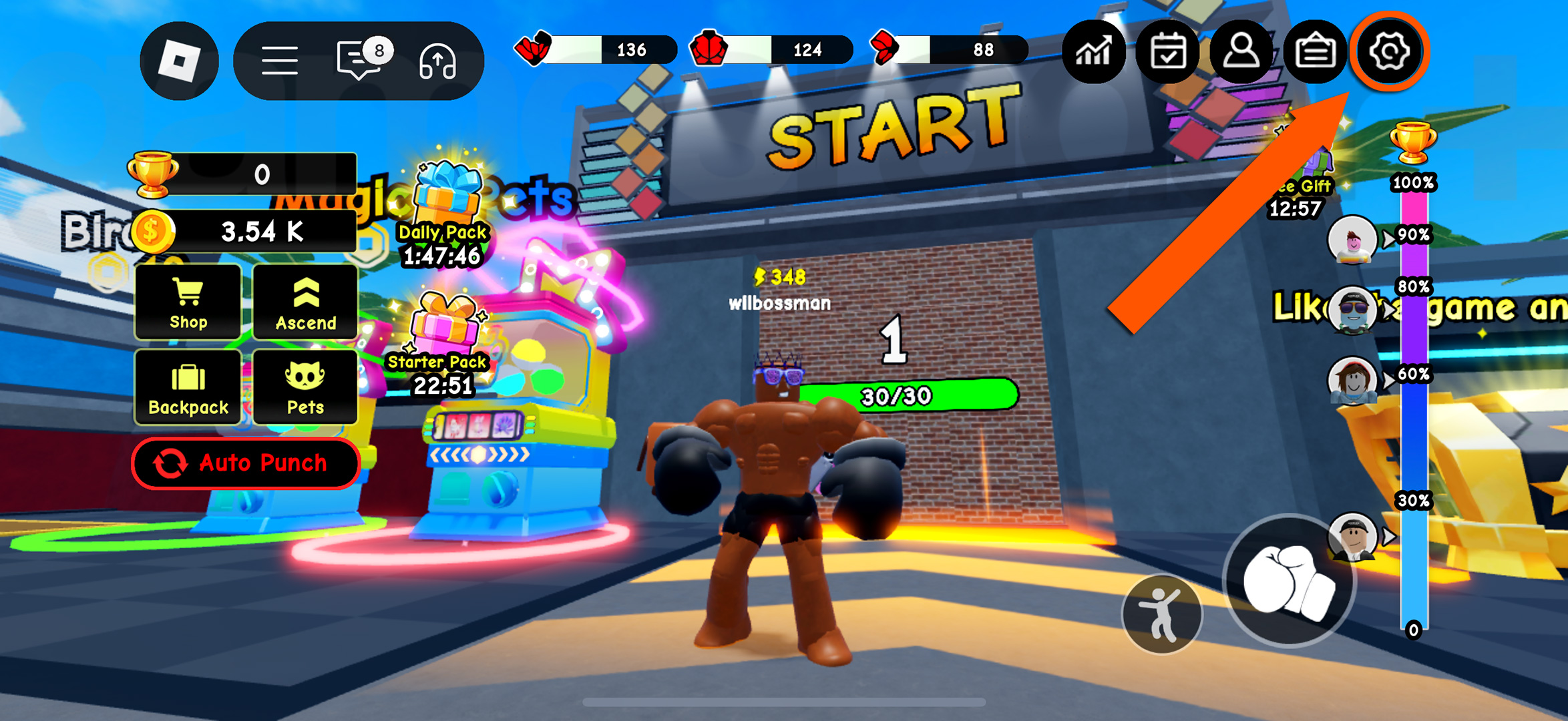 Punch Wall codes