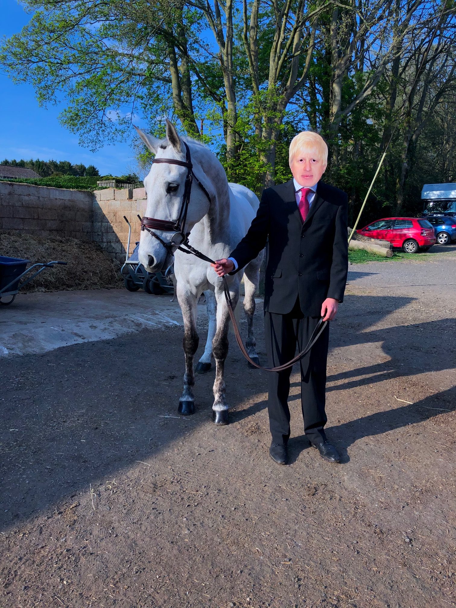 Hector-Payne-Trot-Up.jpeg-rotated.jpg