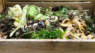 How to compost: image of compost