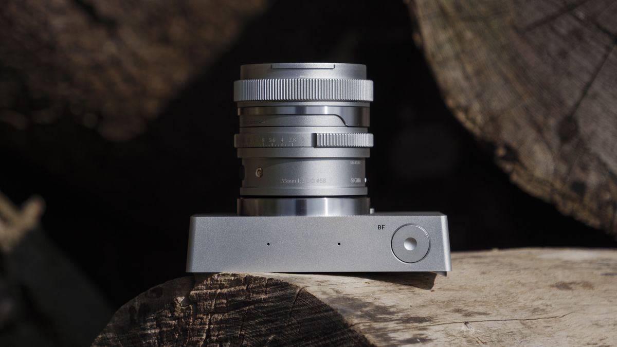 Top view, Silver Sigma BF camera with 35mm f/2 DG contemporary lens attached, on a large log