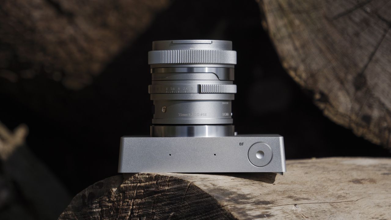 Top view, Silver Sigma BF camera with 35mm f/2 DG contemporary lens attached, on a large log