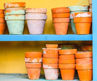 mixed terracotta pots on shelves