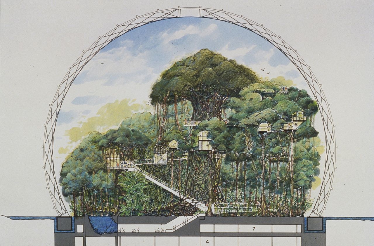 Cambridge Seven Associates (American, est. 1962). Tsuruhama Rain Forest Pavilion, Osaka, Japan. Project. 1993–95. Section drawing showing the underground levels and the paths at the forest level. 1994–95. Marker and Prismacolor pencil on black-line diazo print, 20 \00d7 30″ (50.8 \00d7 76.2 cm). Collection Cambridge Seven Associates , as part of the &#039;Emerging Ecologies&#039; exhibition