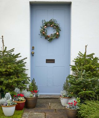blue front door with wreath and multiple christmas trees