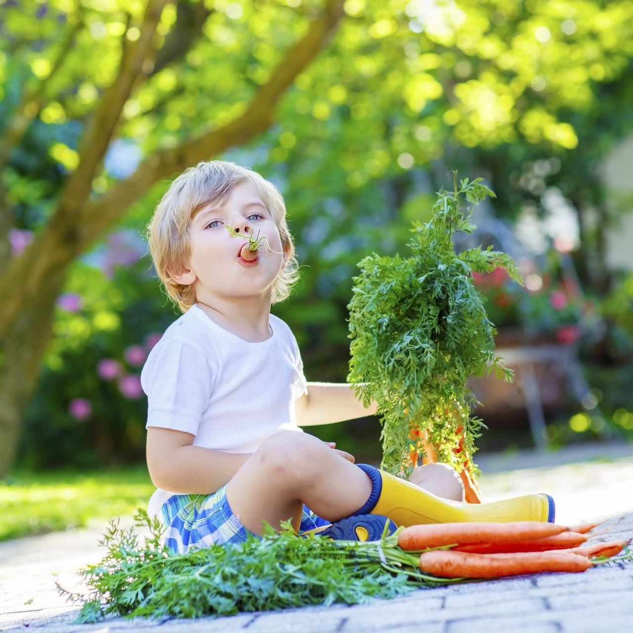 snack garden