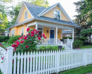 Pink Rose Bush in Front of a Beautiful Yellow House with a White Picket Fence.