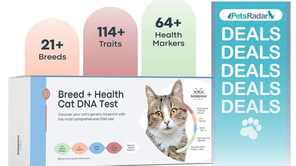 Basepaws Cat DNA Test Kit